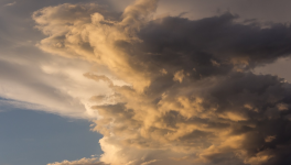 Haïku libre : Bouton ( Linktober2025)