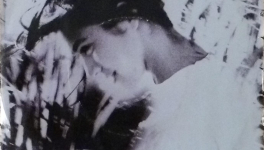 Je n’aime personne