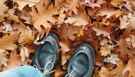 Communauté d'une peine