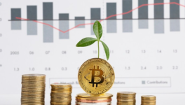 Bitcoin ETFs “on fire”