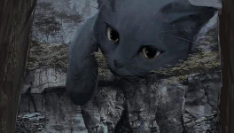 2022 - Avril - Semaine 15