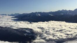 Promenade de confiné