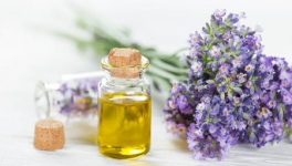 La lavande officinale, votre nouvelle bienfaitrice !