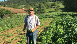 Le cornichon est de retour ! 🥒