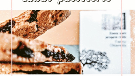 Lundi pâtisserie : biscuits Garibaldi