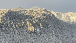 Dédicace à mon Cher ami Frédéric ❤️