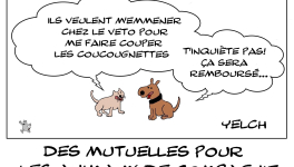 Mutuelles pour animaux de compagnie