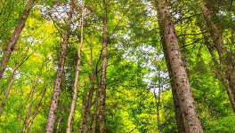 2022-04-16 (jeu de mots #0001)