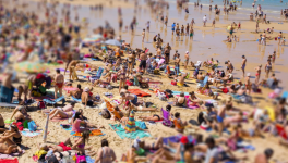 Le tourisme de masse ravage le monde comme des nuées de criquets sauvages