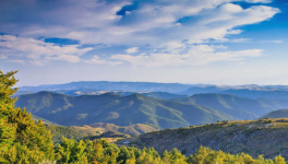 Le secret des collines