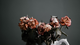 JOURNAL DE L’ANNÉE DE LA PESTE – 9 avril