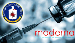 What do Donald Trump and Julian Assange have in Common ?