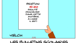 les bulletins scolaires d'Astérix : breton
