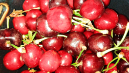 Clafoutis aux fruits