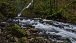 L’enfance de René s’en va et ne revient plus
