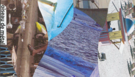 Les hommes grappillent la guerre