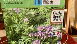 Le jardin du 6 Août