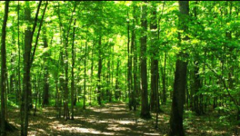 Une rencontre possible