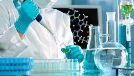 Tendances et influence