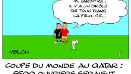 Coupe du monde mortelle