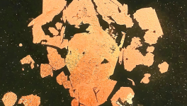 L'Œuf des Étoiles