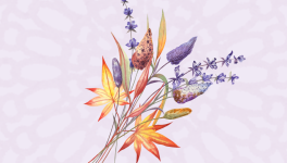 Festina Lente - Chapitre 4