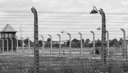 Retour à Birkenau de Ginette Kolinka