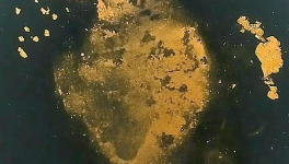 L'Alchimie de la Patience