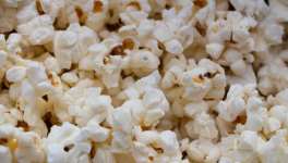 "Looking Back at the Screen of MASAAN"