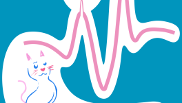 Faites donc taire ce chat (E3_S1)