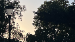 Samedi 9 Décembre 2023