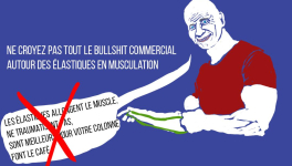 Les élastiques