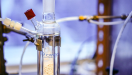 22/11/2022 : Labile : lactescent : 