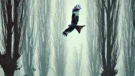 Quelque part dans le monde