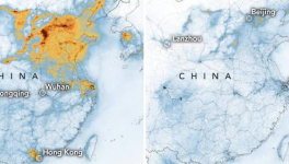 La Quarantaine Fertile