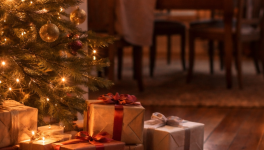 Épisode 1 — La lumière ne fait pas de bruit