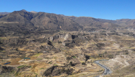 Canyon de Colca