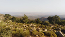 une idée pour un développement durable