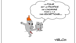 la folie n'est pas que le propre de l'homme , il y a aussi des rats fous...