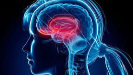 L'humour est un mets de l'esprit qui se goûte et s'apprécie, mais reste incompatible à tout régime sans sel.