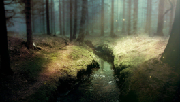 Nouvelle affaire pour Moridan et Léila