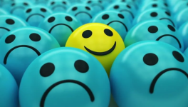 Aphorisme n° 17 : Le bonheur à deux