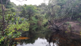 Le chemin de la Vérité