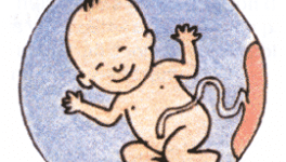 6-Bienvenue mon bébé !