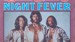 Pas de pacotille (part 1)