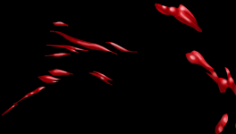 Chapitre 8 - Le chien a mordu