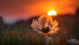 Frissonner... de plaisir !