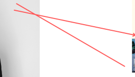 "Les enfants sont rois" - Delphine De Vigan