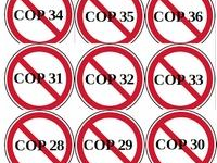 exceptionnel acquis de la COP27, pour des ânes 