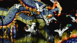 (II, 1) : L'éveil du dragon